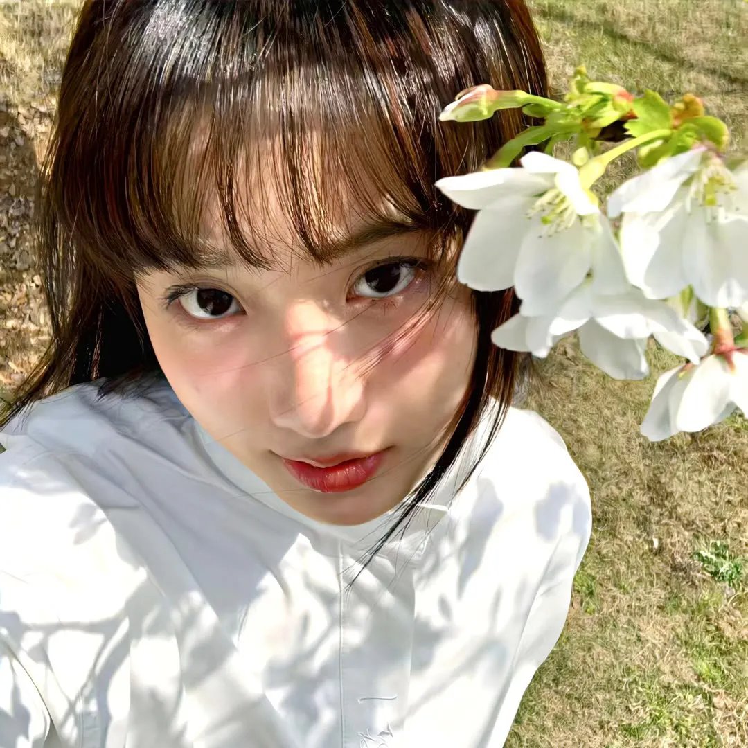 皎皎清月坠我怀